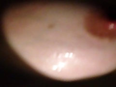 40D retro sho tits 40D retro sho tits
