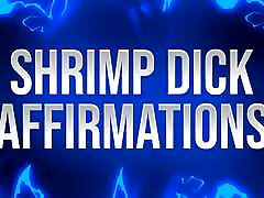 shrimp dick affirmationen für kleine penisverlierer