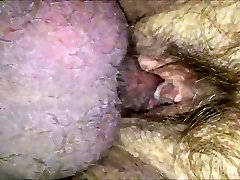 HD hq porn fay wife - Small Cock - Hairy Pussy