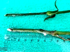 Extreme female inserting nettles into cervix and meatpipe flowers