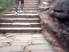 Cinese cougar in a public park