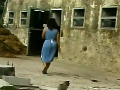 хейди-им-вальд унд ауф дер хейд 2