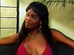 گربه کامل!!! - فصل # 05