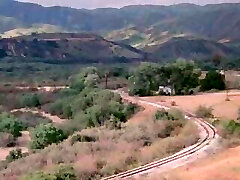 企业资产1985 企业资产1985