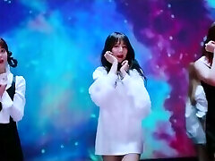 Popular K-Pop Gal Group - K-Pop Girl Dog Collar - Part 1