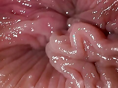 Close up ass fingering and dirty talk, anal masturbation ejaculation