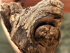 Haus frauen privat (Full Flick)