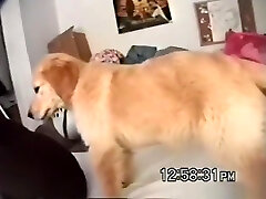 Sd - donna pulverizes her beau richard again in her dorm for a creampie