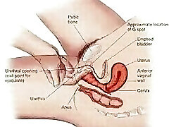 Squirting Tutorial