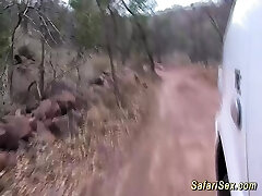 wild african jeep fucky-fucky safari