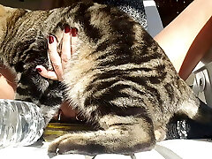 nippleringlover &ndash; ultra-kinky milf is bare outdoors, fucking bottle, pierced pussy, big nipple rings in immensely pierced nipp