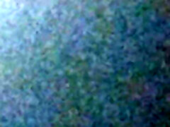 грубые член