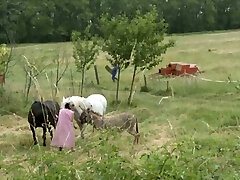 Torn Up in the farm