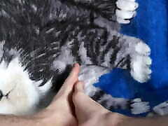 My feet&039;s black gay master cut blanket so cute