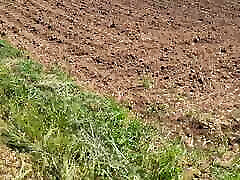 потрясающий минет на открытом воздухе с очень огромной спермой