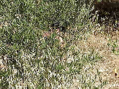 французская милфа-любительница в шоке!!! она застукала настоящего извращенца-вуайериста, который следил за ней