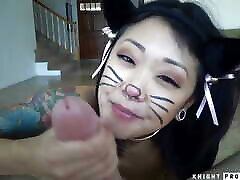 saya song kitty veut du lait