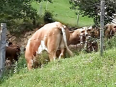Pierced German blonde tied and spanked before hot outdoor fuck