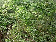 农场口交户外口交病毒口交