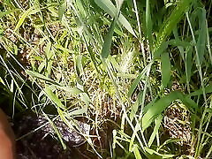 The desi sister-in-law of the village is calling in front of her brother-in-law in the field to fuck the ass in the field, romantic sex video in the forest