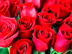 Bangla Short Story Bangla Short Story Full Story in Bangla Audio Short Story