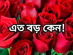 Bangla choto golpo beautiful mature saree chachi cheating hasband full story in Bangla audio
