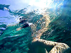 Stunning Girl Swims Nude on Public Beach Stunning Girl Swims Nude on Public Beach