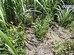 Komal walked ahead into the sugarcane field and followed behind Ushka Lover