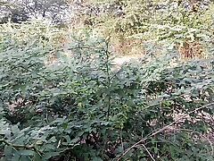 Desi indian Marathi kavita bhabhi blowjob and cum in mouth in saree in jungle with Tatya