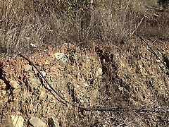 dojrzały rolnicy żona pozwala pasierb cum na jej włochaty cipki