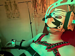 Playing Puppies the Second Examination