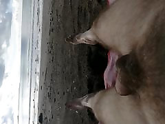 another turk sandboydy kadin sikiliyor day