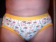 Pantie presentazione