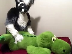 more fun with big gator kaitrinakaif hard fuck