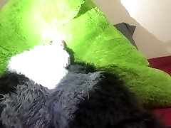 gator girs javajavi fun
