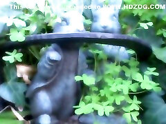 Teen Sucks Penis For First Time - Dreamroom Productions