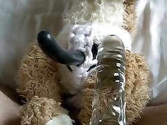 glass dildo on dont com inseid rabbit
