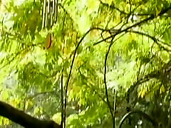 During short pit stop in the forest amazing milf rides dick on the car