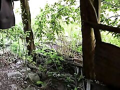 Bareback Barn Seeding