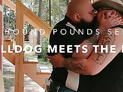 The Bulldog Meets The Hound The Bulldog Meets The Hound
